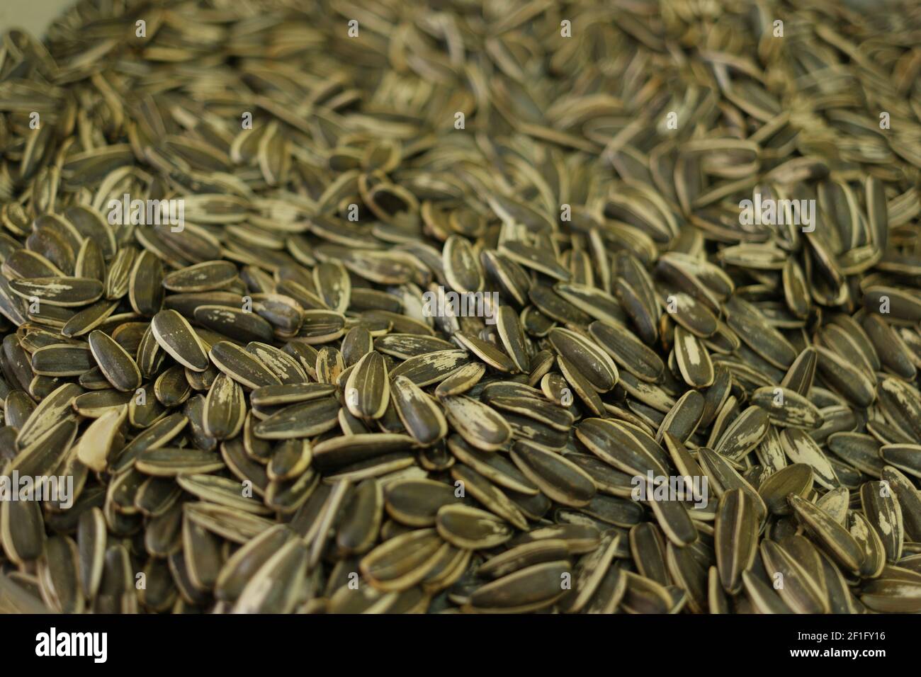 Sunflower seeds background Stock Photo Alamy