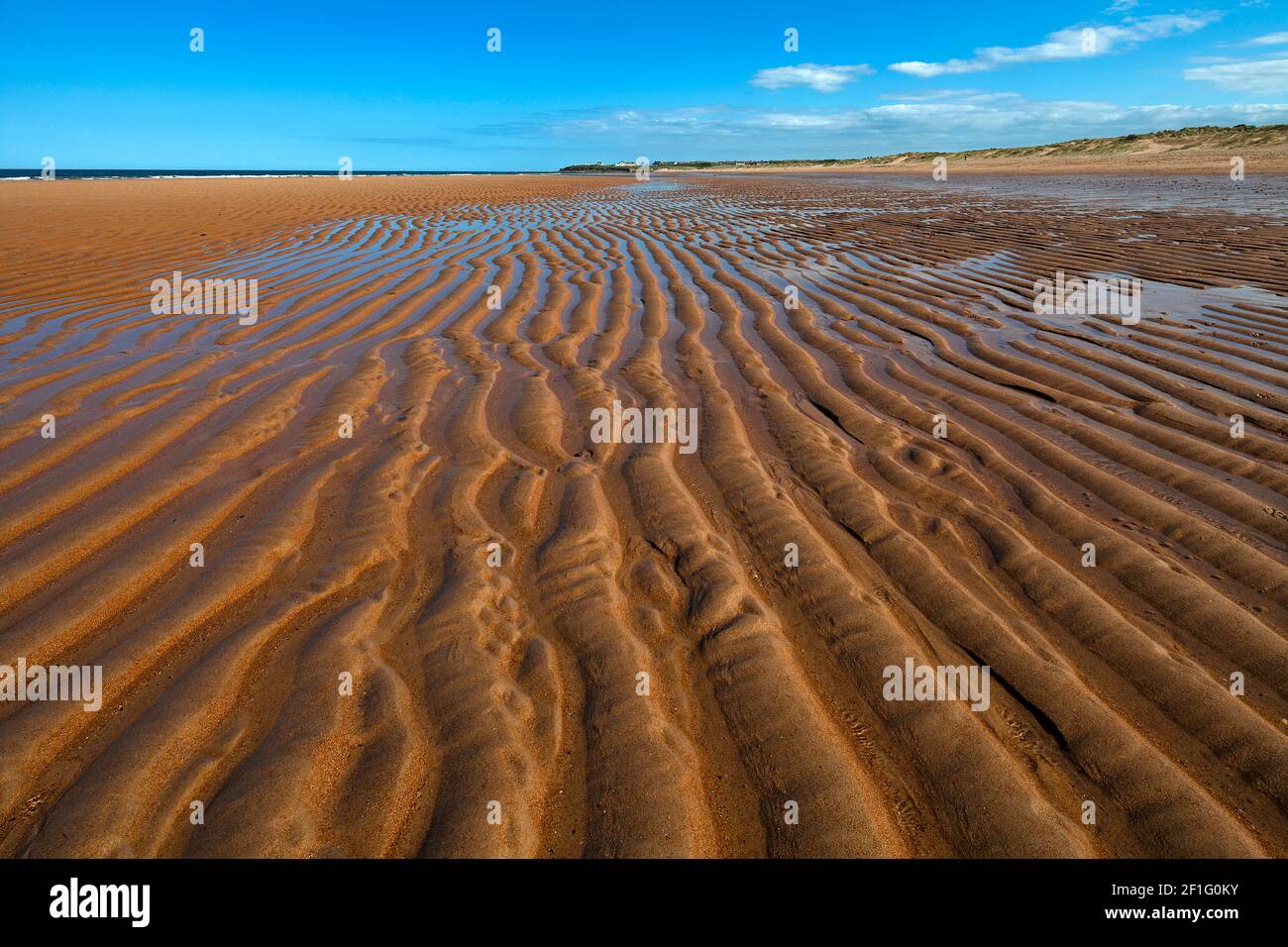 low tide on Seaton Sluice beach, Seaton Sluice, Northumberland, England, United Kingdom Stock