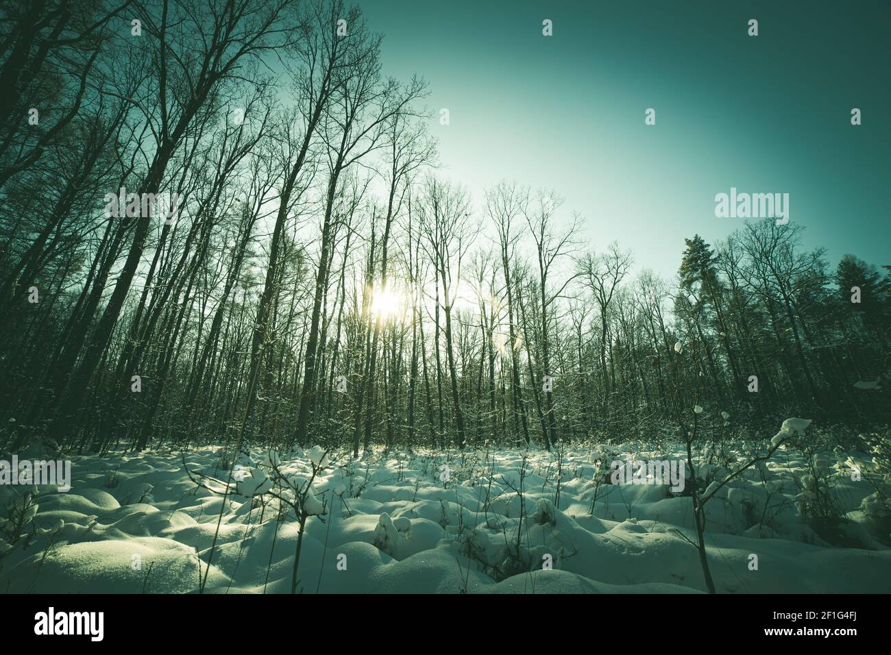 Vignette winter hi-res stock photography and images - Alamy