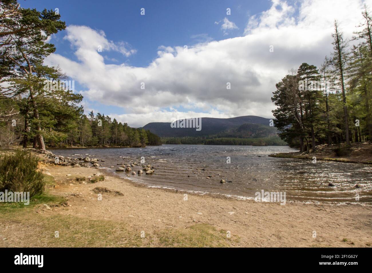 The Northern shore of Loch an Eilein in the Rothiemurchus forest in the Cairngorms National Park, Scotland on a sunny day Stock Photo
