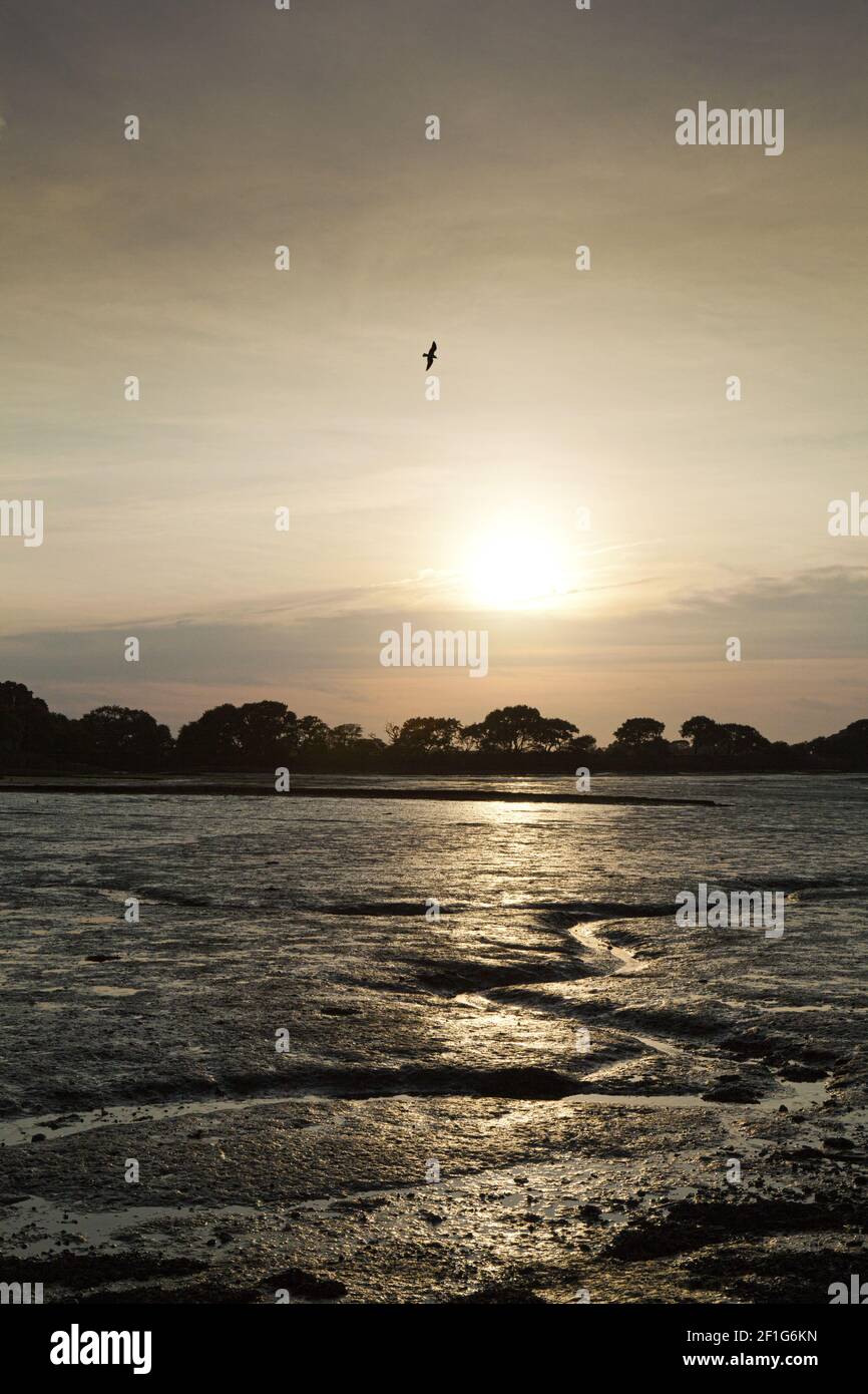 The sun setting over West Itchenor, West Sussex UK viewed over the mud flats on the Chichester Channel at low tide Stock Photo