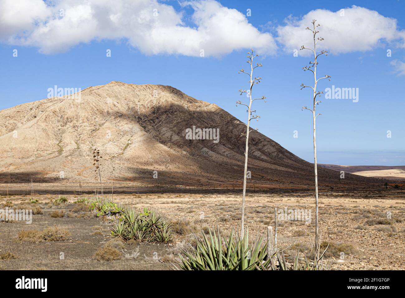 Mount Tindaya, Fuerteventura, Canary Islands. The mountain was considered sacred by the local islanders. Stock Photo
