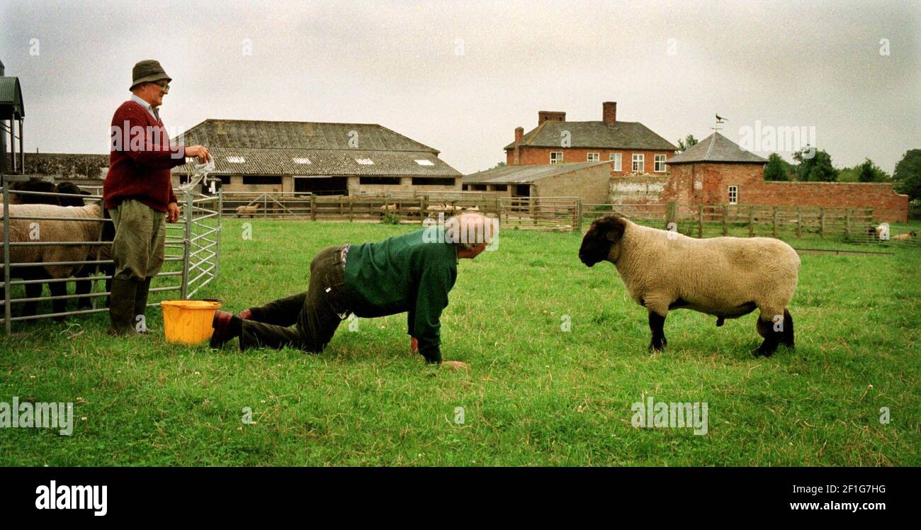 Robyn Hulme makes out to be a female sheep to attract the attention of