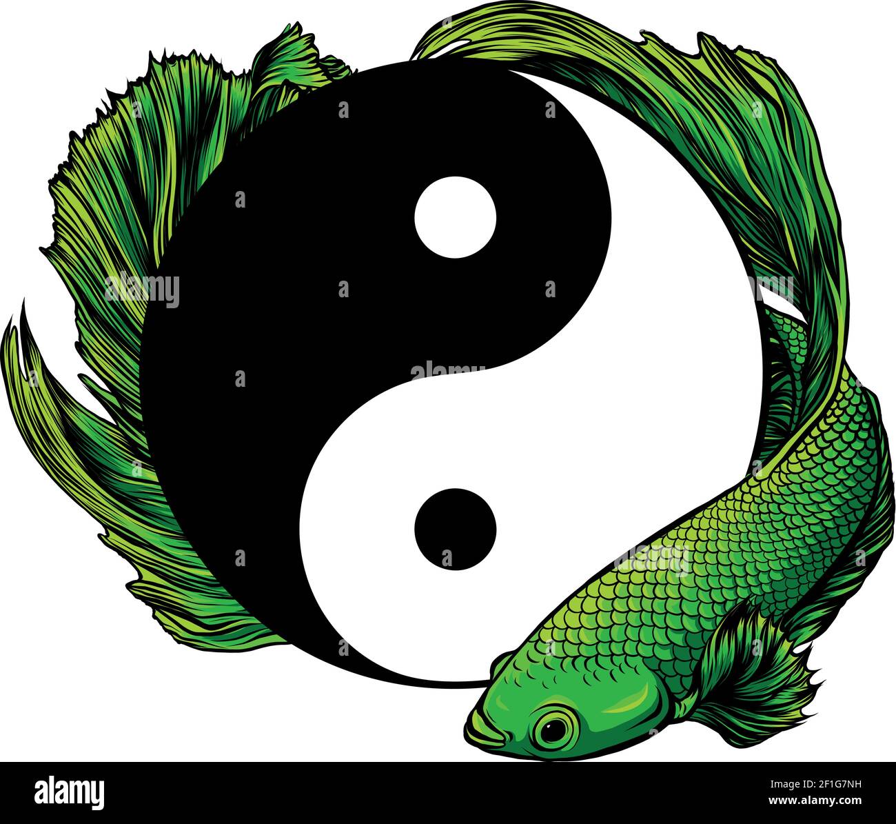 Yin Yang betta splendens fish vector illustration art Stock Vector