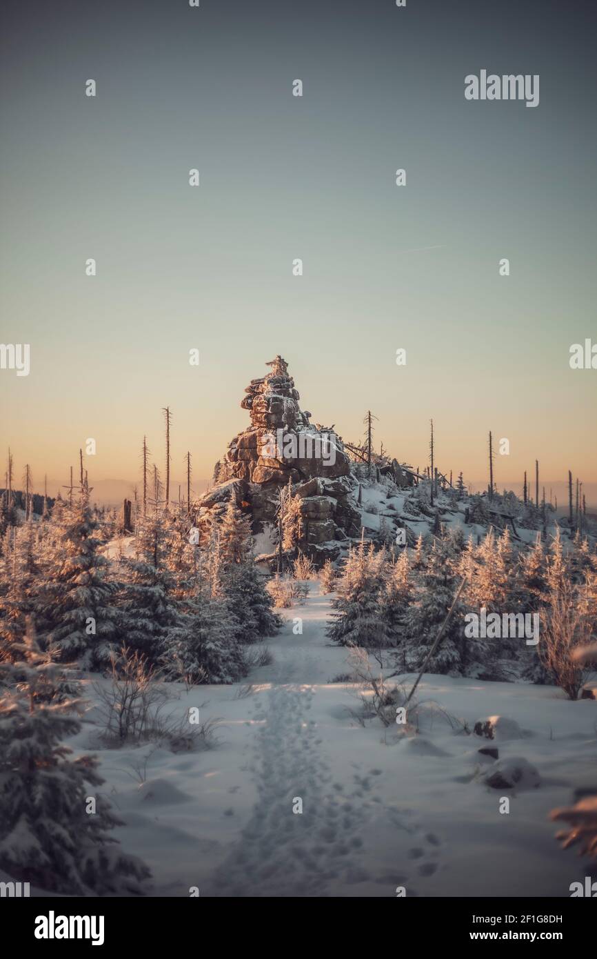 Bayerischer Wald Stock Photo