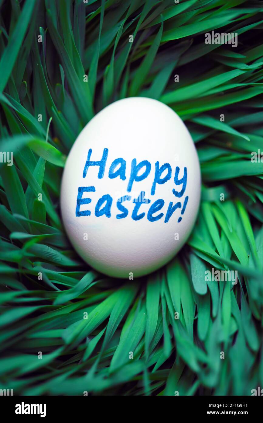 Single Happy Easter egg hidden in grass Stock Photo Alamy Single Happy Easter egg hidden in grass Stock Photo Alamy