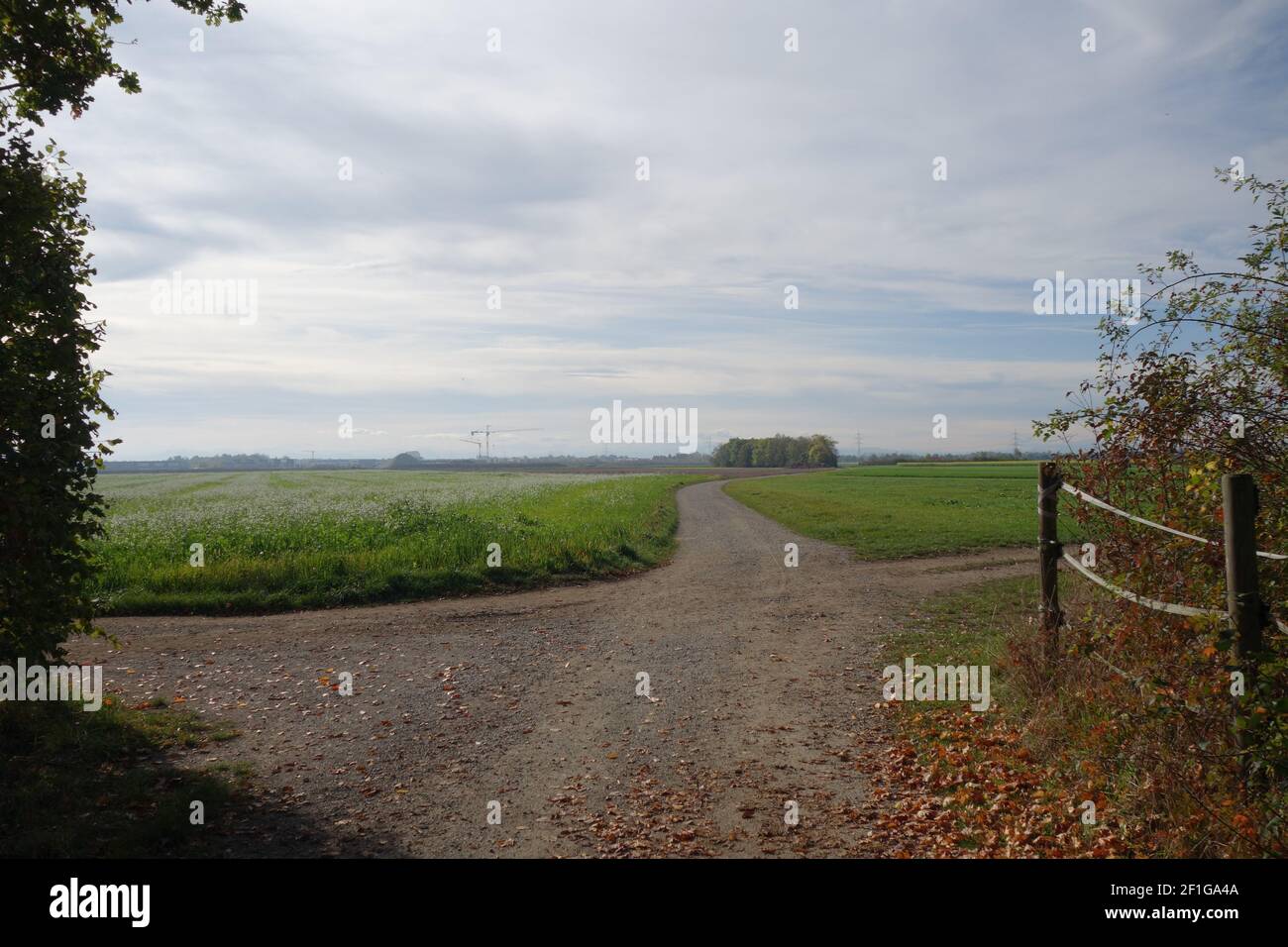 Unpaved Path An unpaved path amid agricultural green fields on the cloudy sky ...