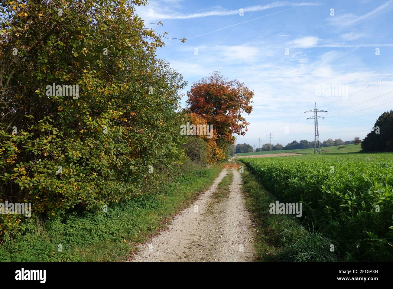 Unpaved Path A beautiful unpaved path amid forest and agricultural fields with power ...