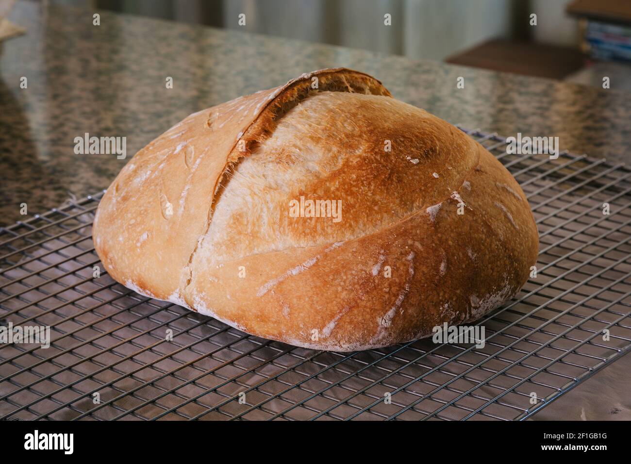 Crusty sourdough bread loaf, baked, resting on cooling grid, ready to
