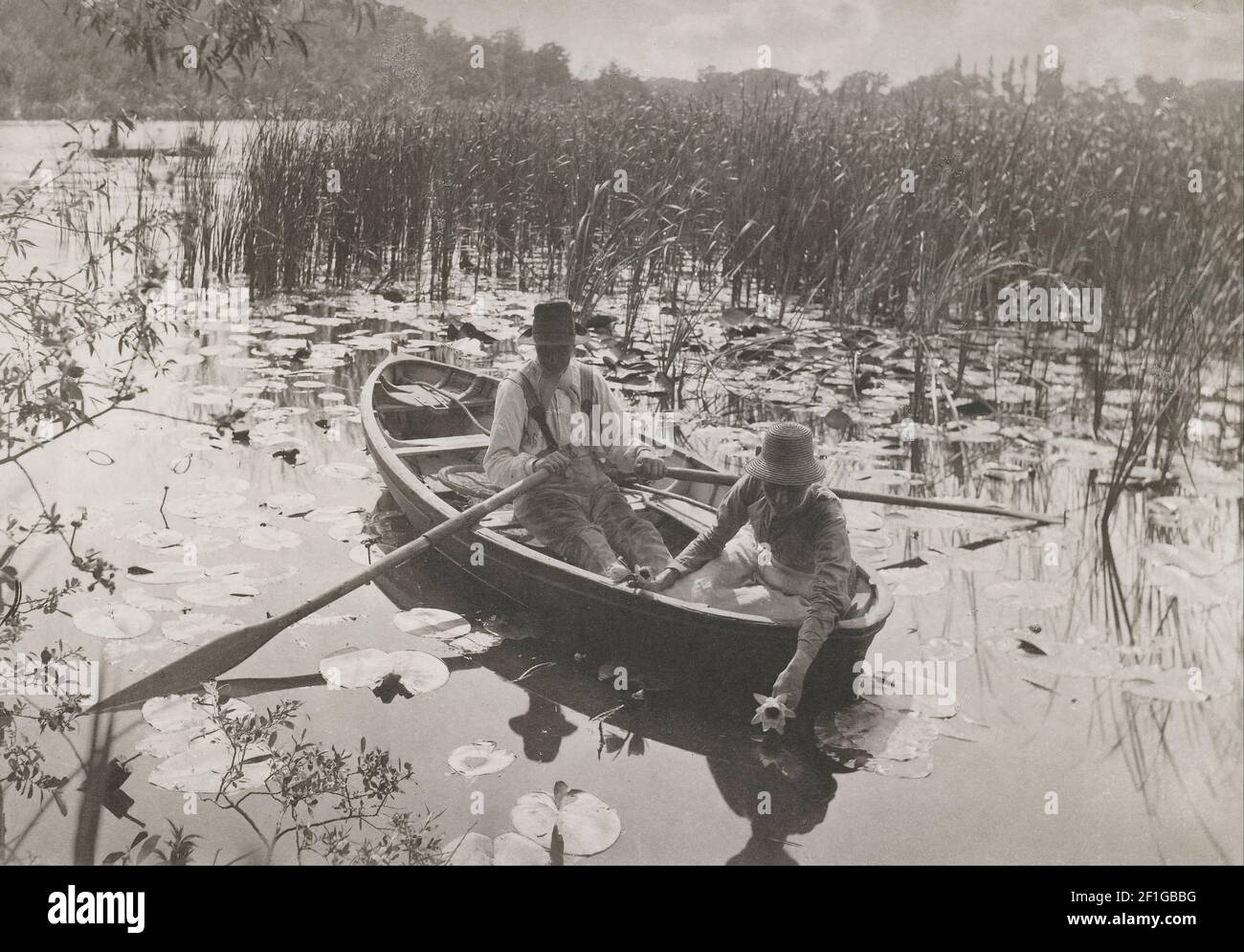 Peter Henry Emerson - Gathering Waterlilies Stock Photo
