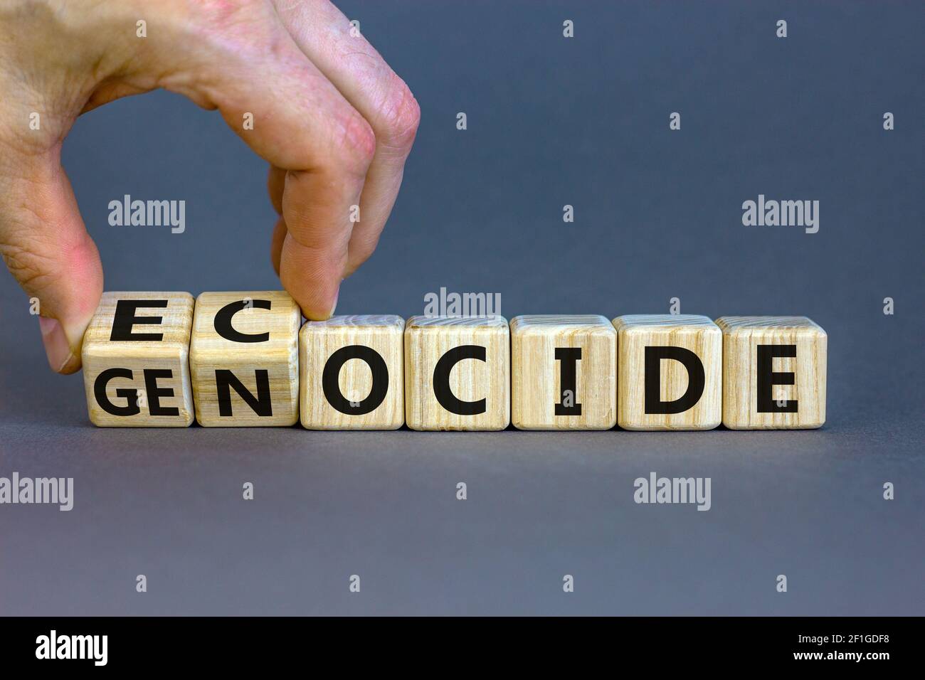 Ecocide or genocide symbol. Businessman turns cubes and changes the word genocide to ecocide. Beautiful grey background, copy space. Business, ecologi Stock Photo