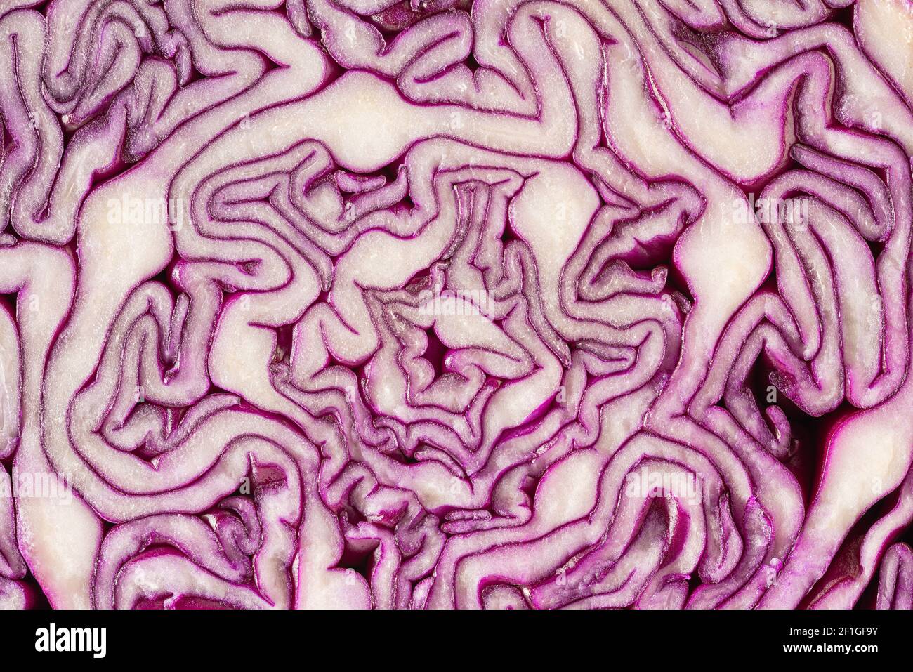 Red Cabbage textured background. Red cabbage pattern close-up. Macro photo. Stock Photo