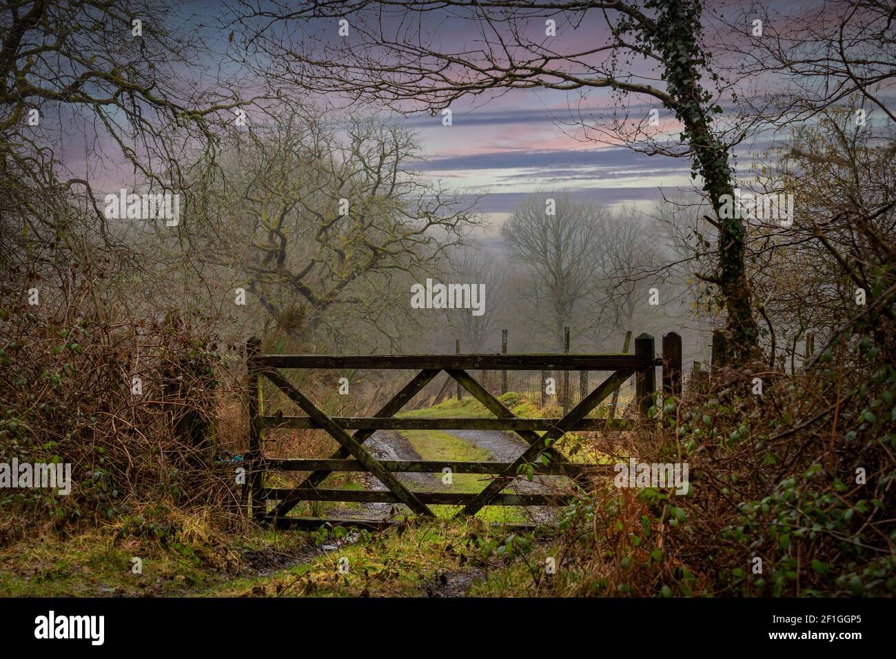 Woodland gate and fence hi-res stock photography and images - Alamy