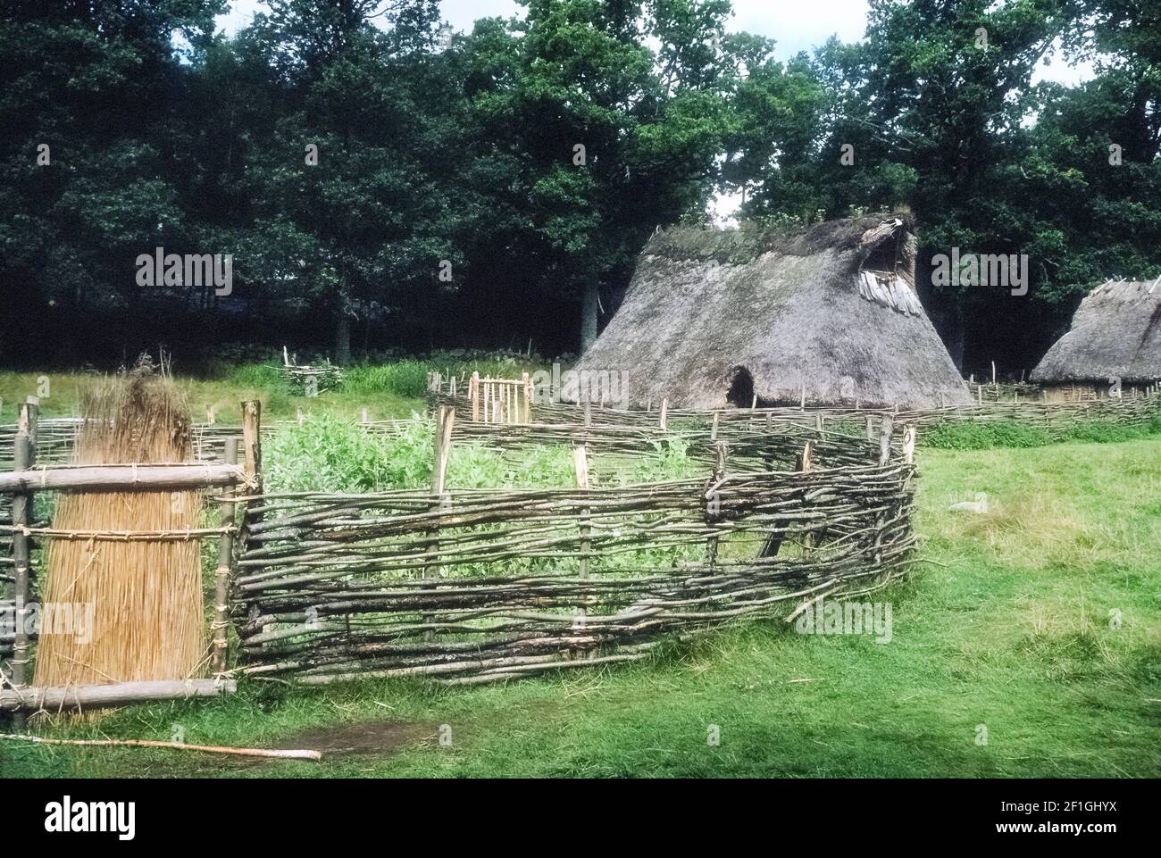 Europe; Sweden; Vastra Gotaland; Tanum World Heritage Site; Tanumshede