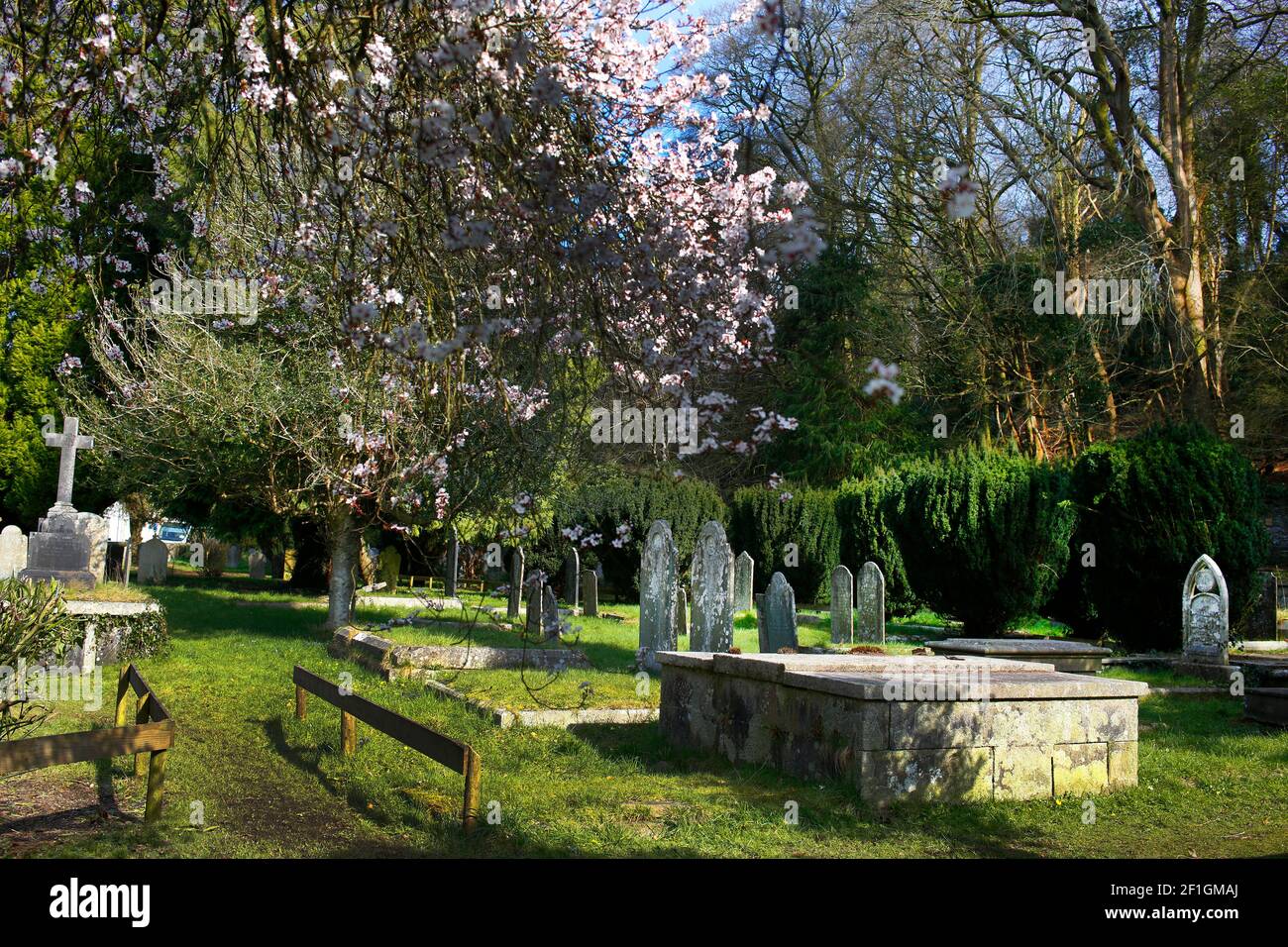 Dolvin Road cemetery in Tavistock, Devon. Stock Photo