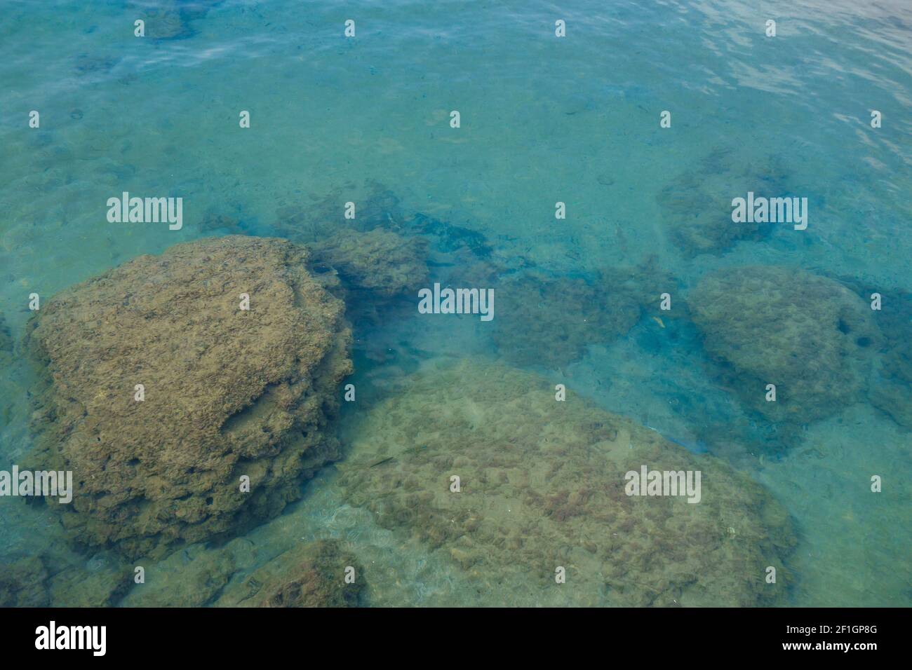 Underwater Stones Near Coastline There Are Calm Water Small Fishes 