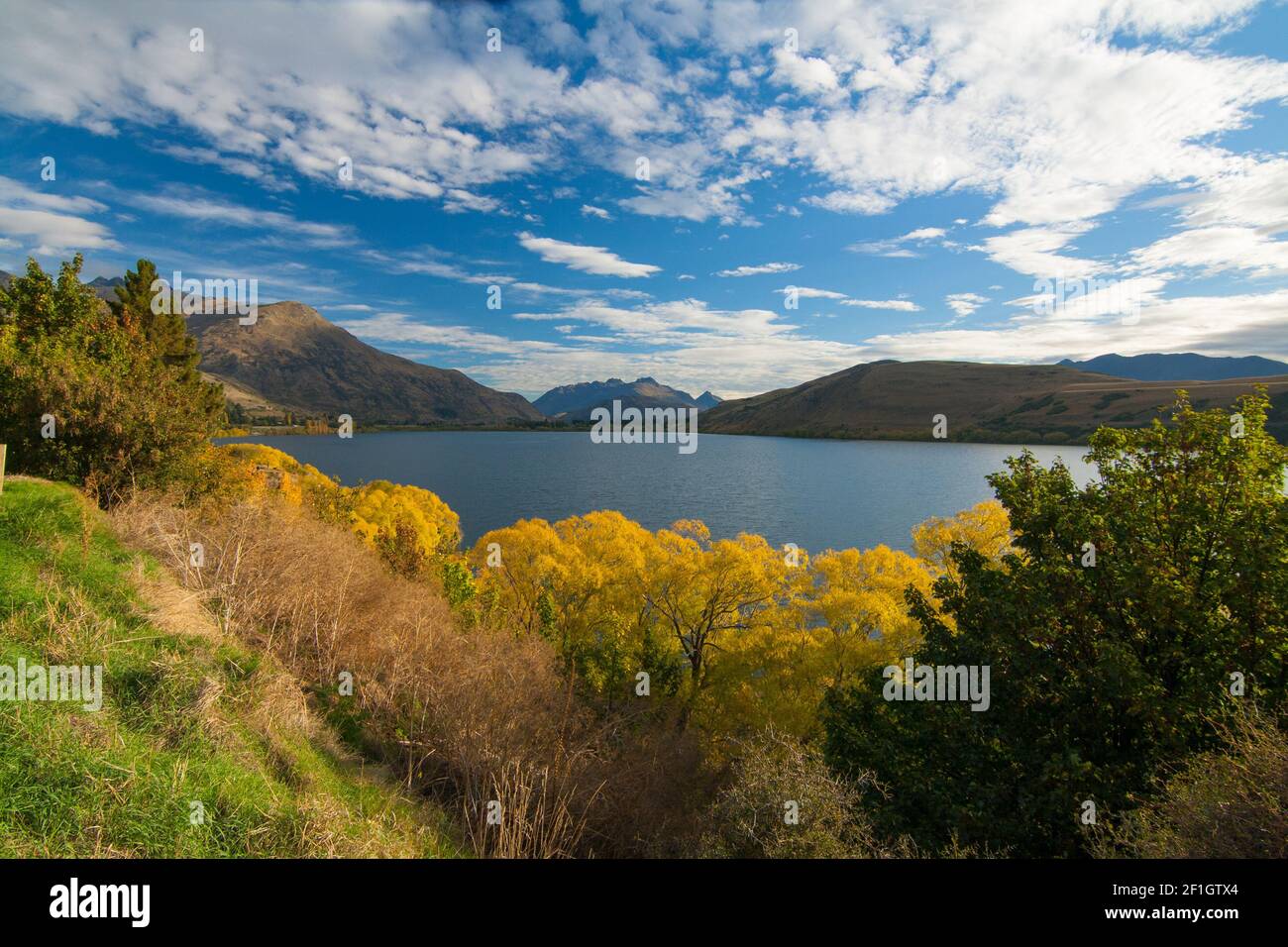 Lake Hayes, village Arrowtown, Central Otago region. Autumn landscape colourful scenery with trees, lake and golden hills Stock Photo