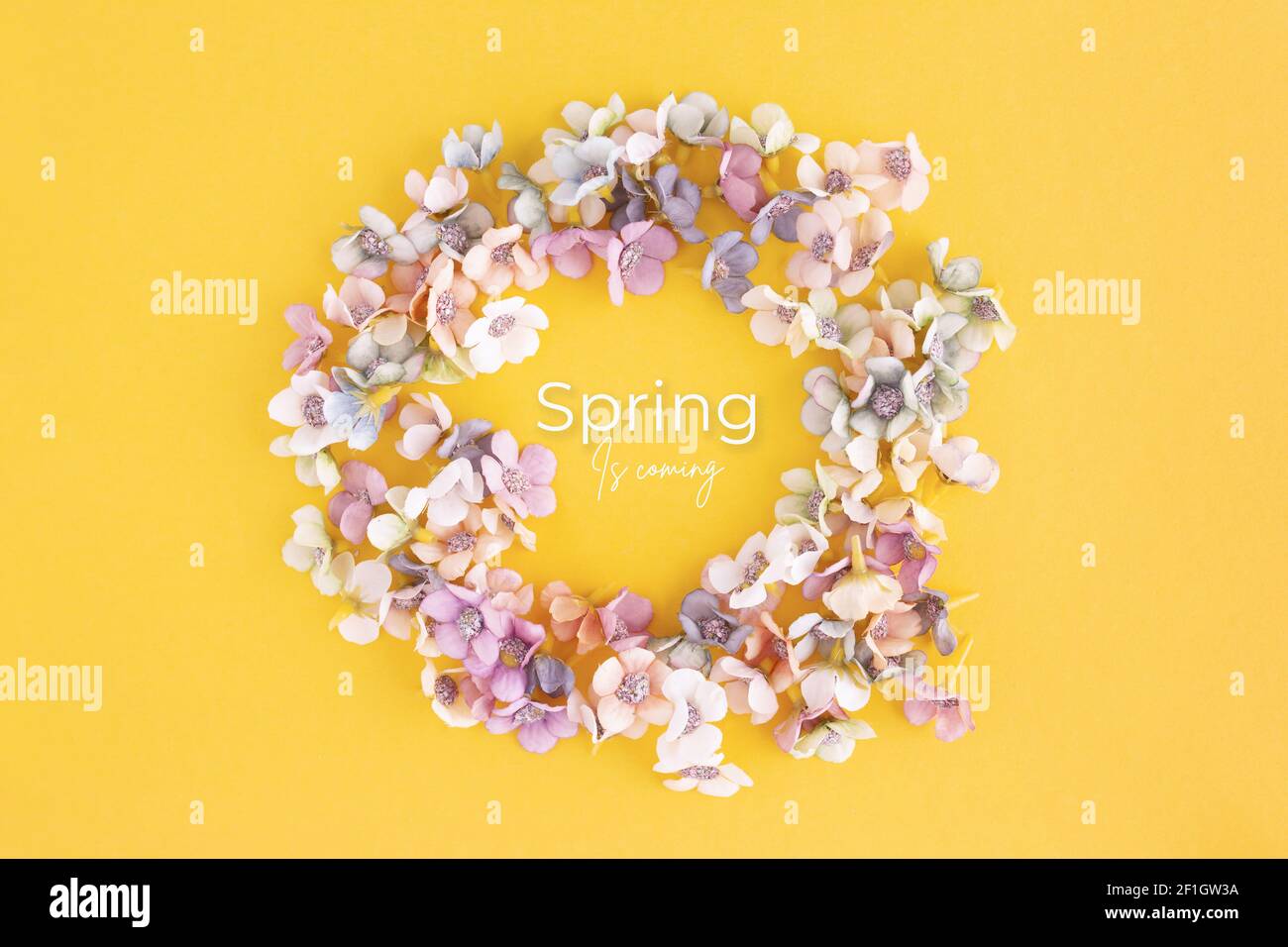 A top view of small artificial daisy flowers with "Spring is coming