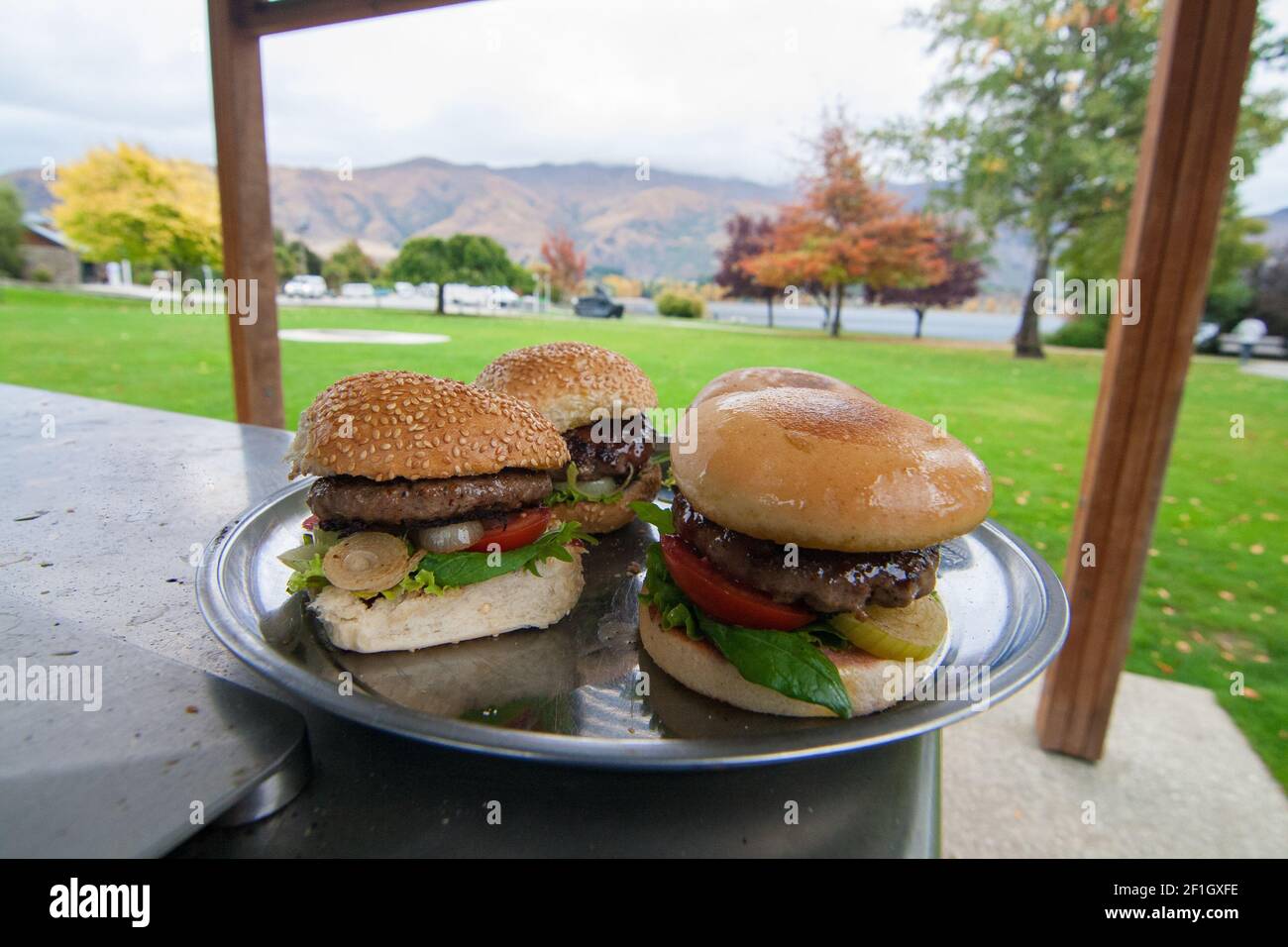 Hamburgers at barbeque burner. Lunch at public barbecue facility in Wanaka Lakefront park, Free BBQ's and outdoor picnic shelter with view of Wanaka W Stock Photo