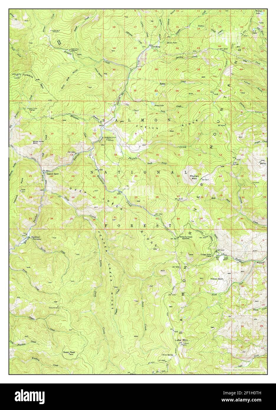 Leesburg, Idaho, map 1950, 1:62500, United States of America by Timeless Maps, data U.S. Geological Survey Stock Photo