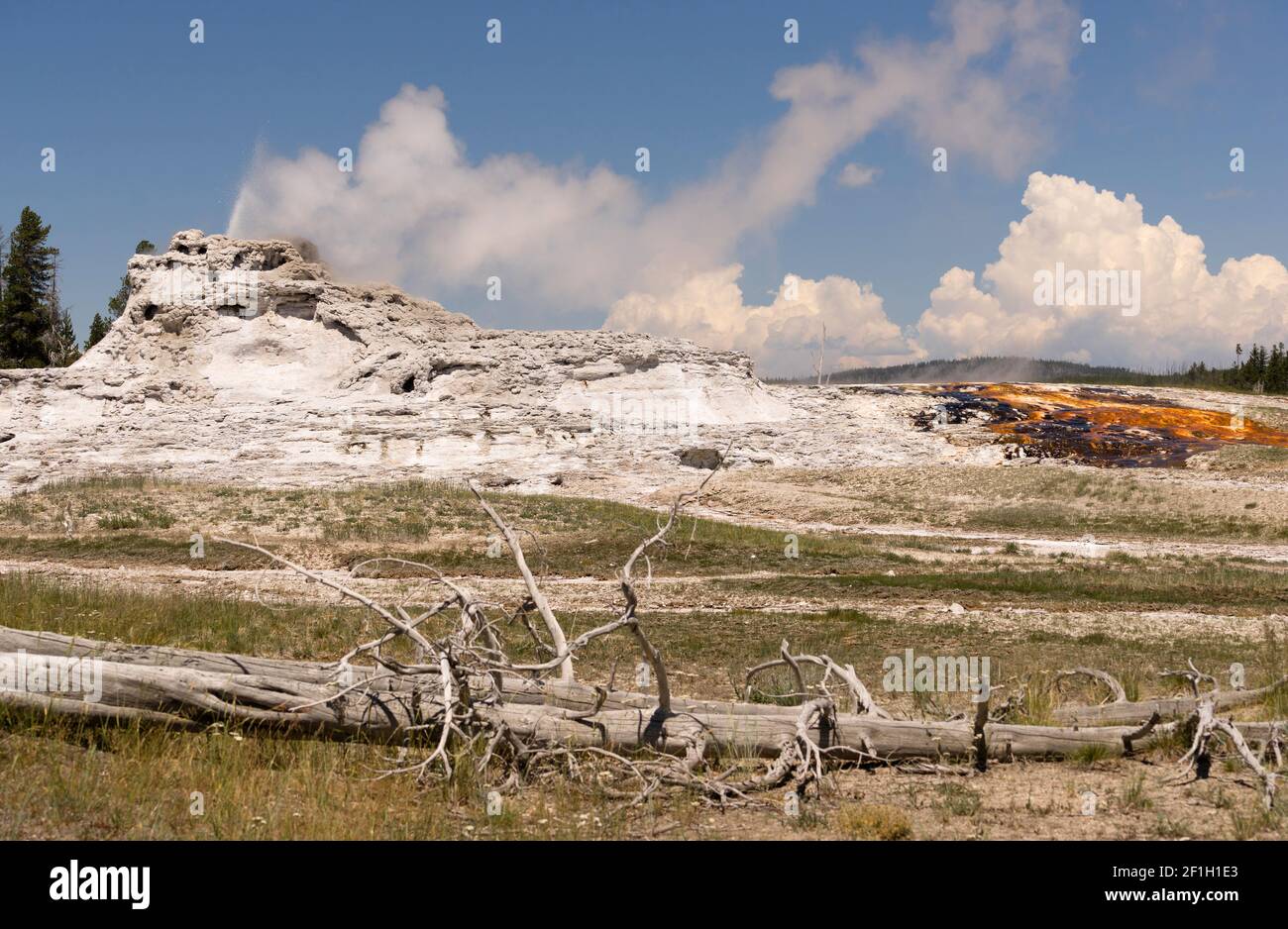 Hot Water Steam and Minerals Blow Out of a Yellowstone Geyser Stock ...