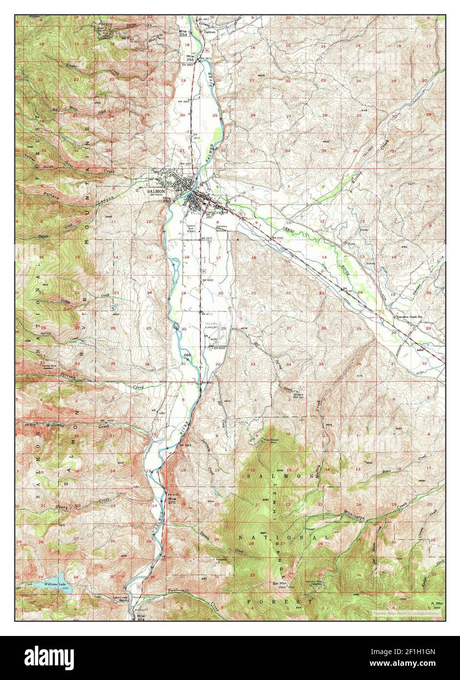 Salmon, Idaho, map 1950, 162500, United States of America by Timeless