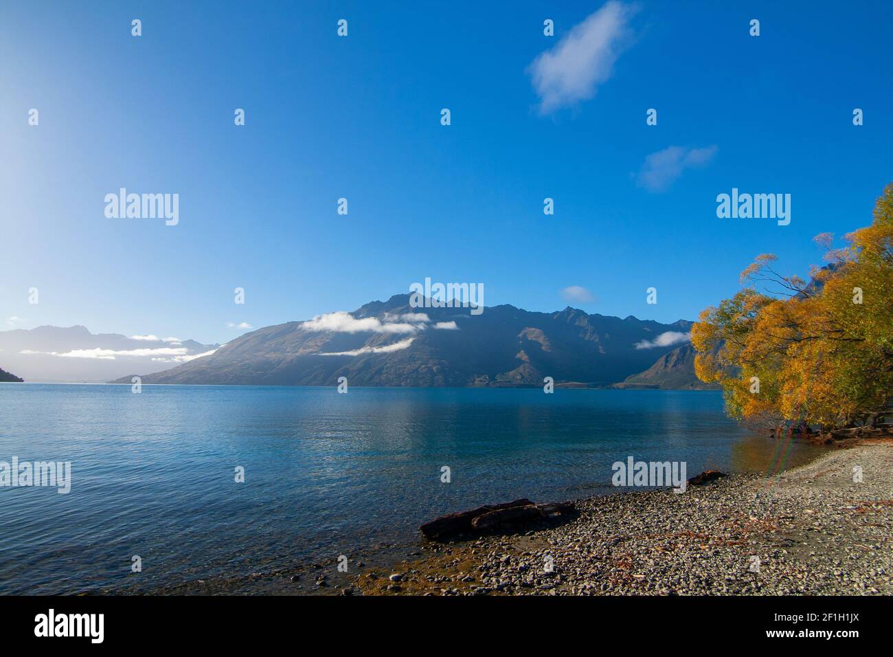 Wilson Bay near Queenstown, South Island New Zealand, the view of Lake Wakatipu and Walter Peak Stock Photo