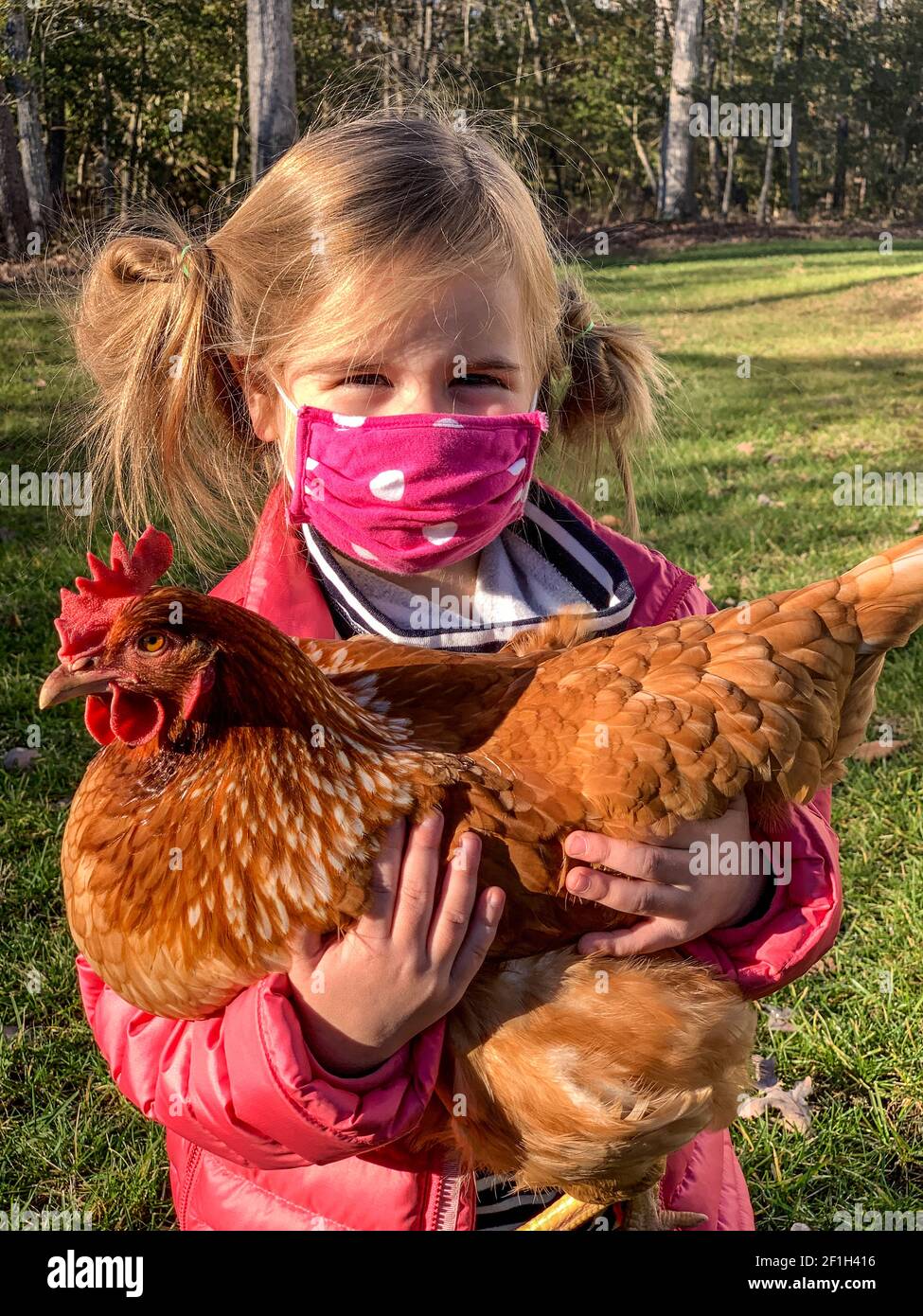 Little Girl with Face Mask Holding her Chicken During COVID-19 Pandemic. Leonardtown, Maryland. Stock Photo