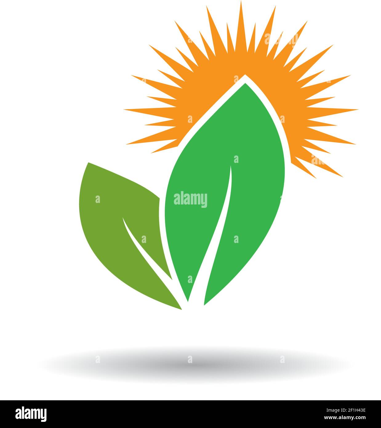 Logos of green leaf ecology nature element vector icon Stock Vector ...