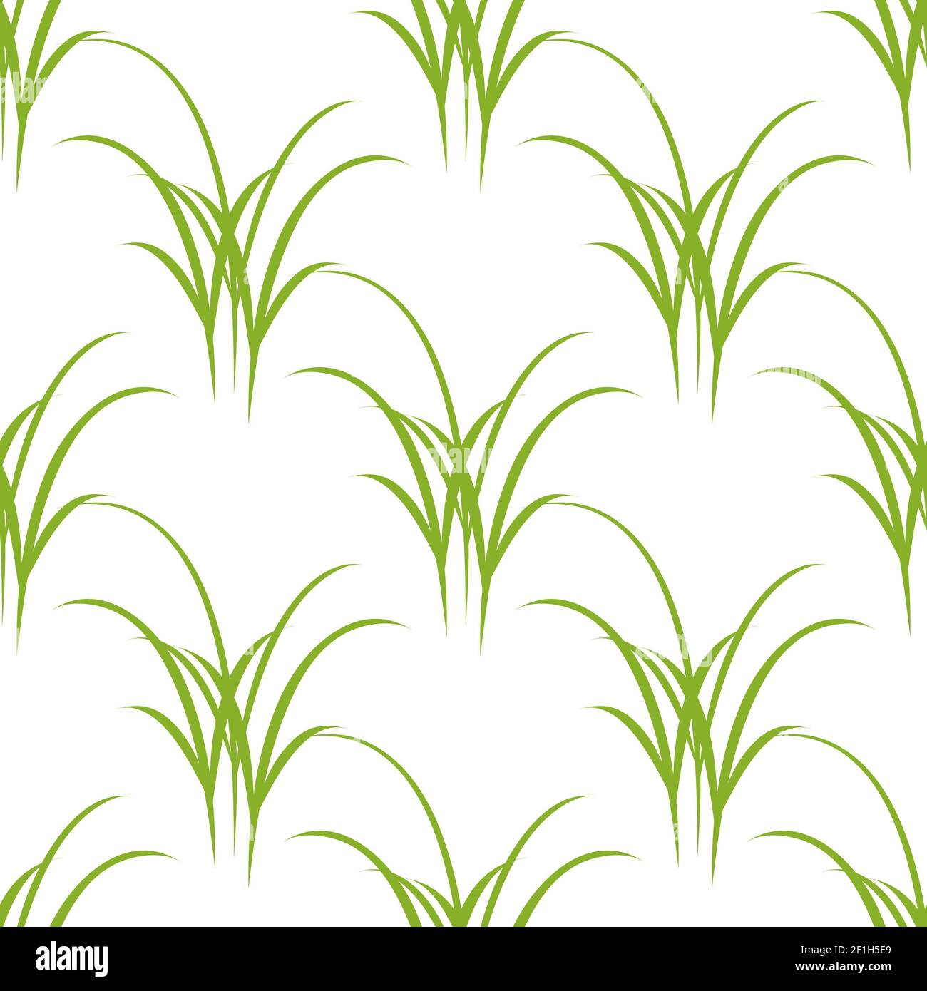 Seamless texture of grass Stock Photo