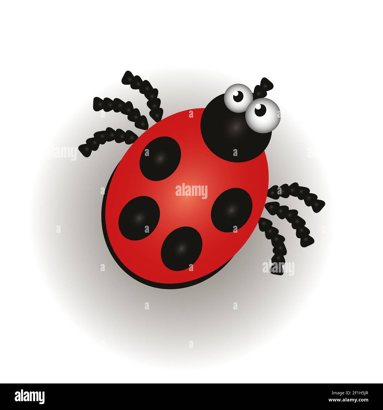 Ladybug isolated on the white background Stock Photo