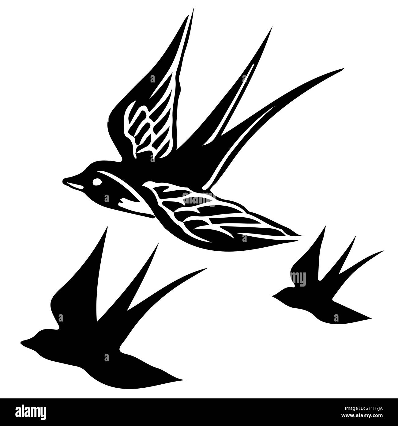 flying swallow bird vector illustration - black and white outline and