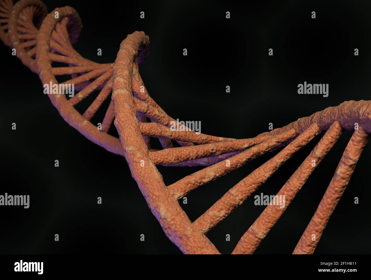 DNA molecule structure. 3d illustration Stock Photo