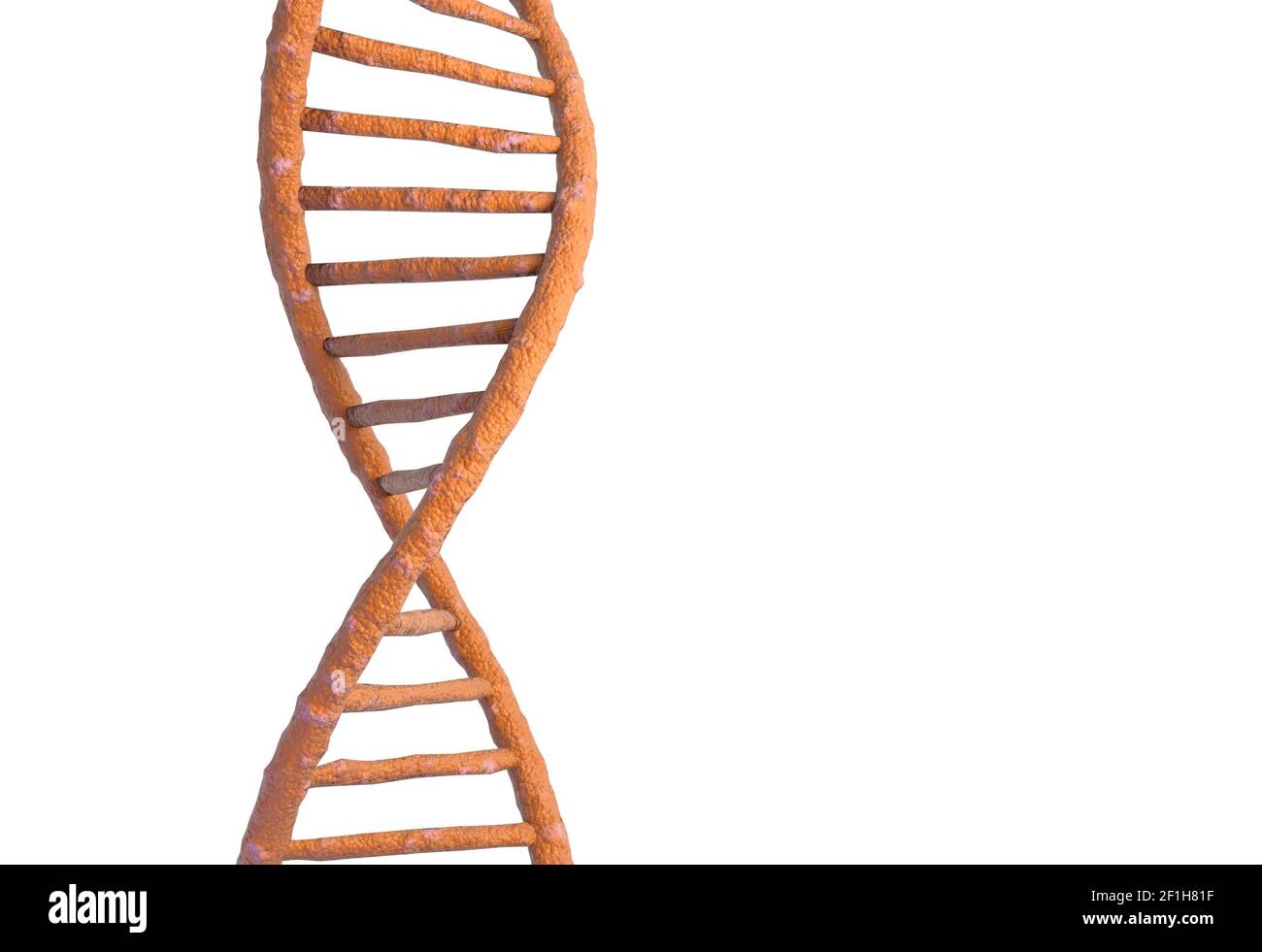 DNA molecule structure isolated in white. 3d illustration Stock Photo