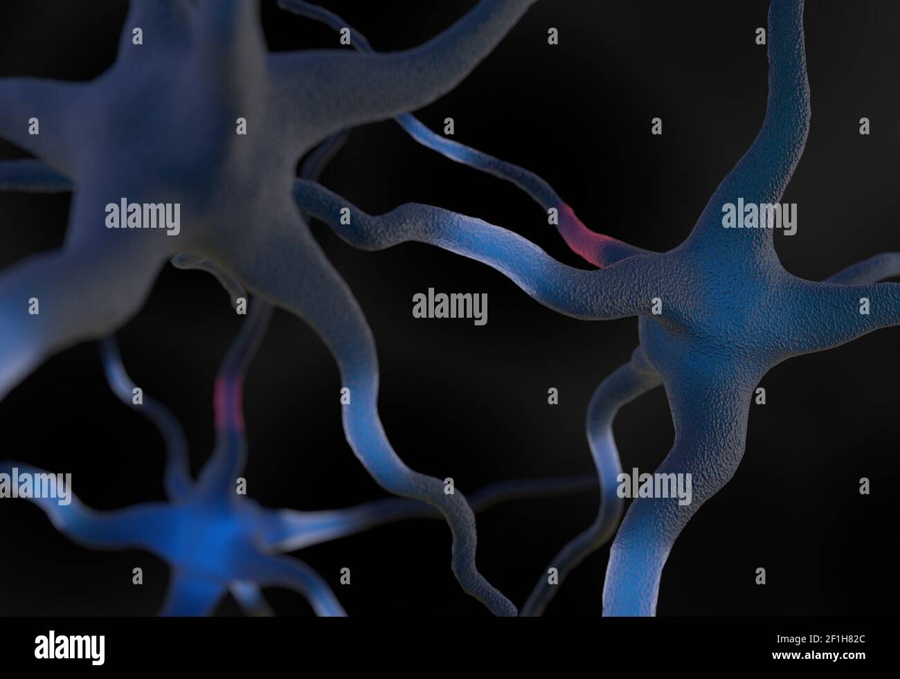 Neurons connected in brain 3d illustration Stock Photo