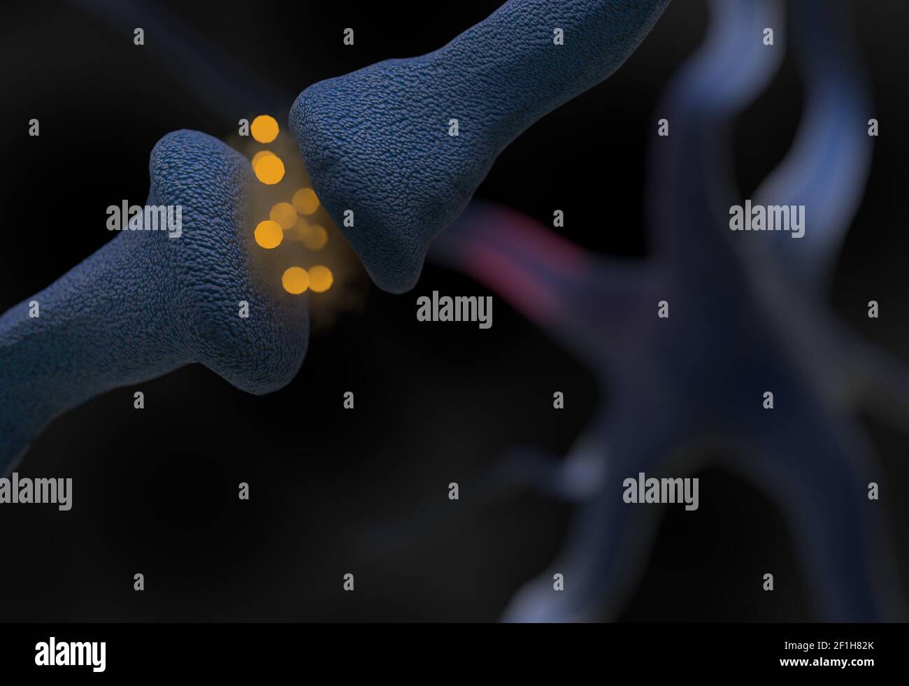 Neurotransmitter synapse and neuron cells sending electrical signals 3d illustration Stock Photo