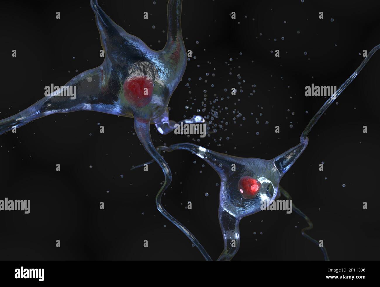 Nerve cell with nucleus 3d illustration Stock Photo