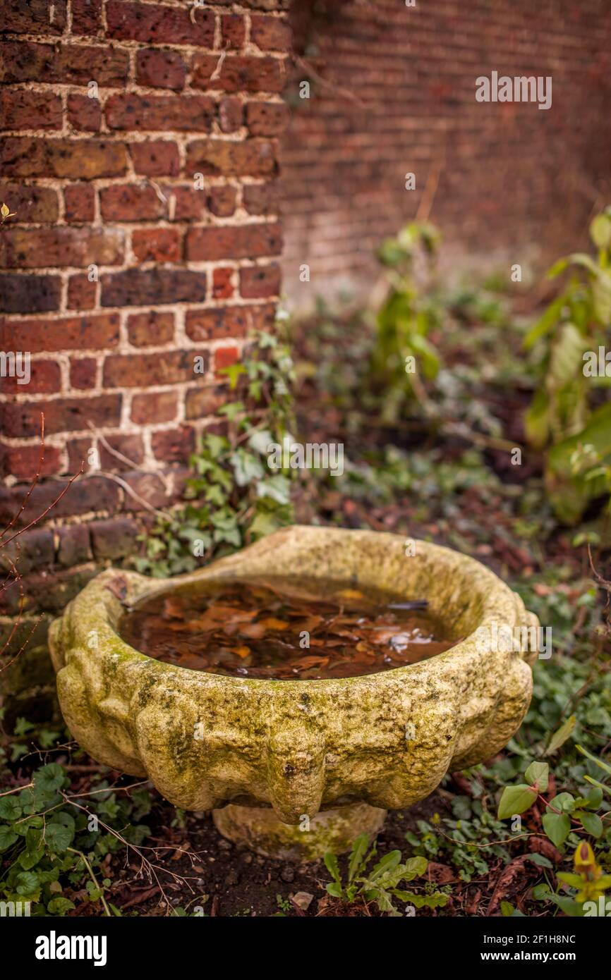 Old flower vase Stock Photo Alamy