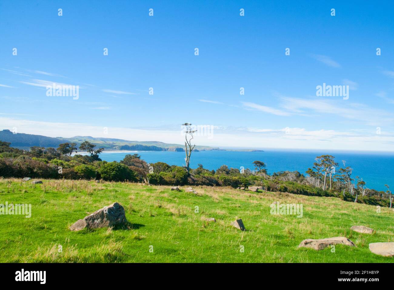 Scenic view of Tahakopa Bay near Papatowai, native New Zealand trees like Totara, Matai The Silver Beech in front, Otago, the Catlins, South Island Stock Photo