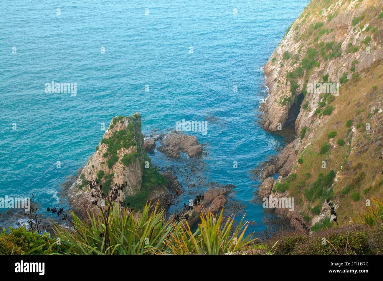 Pacific Ocean cliff top view, South Island New Zealand Stock Photo