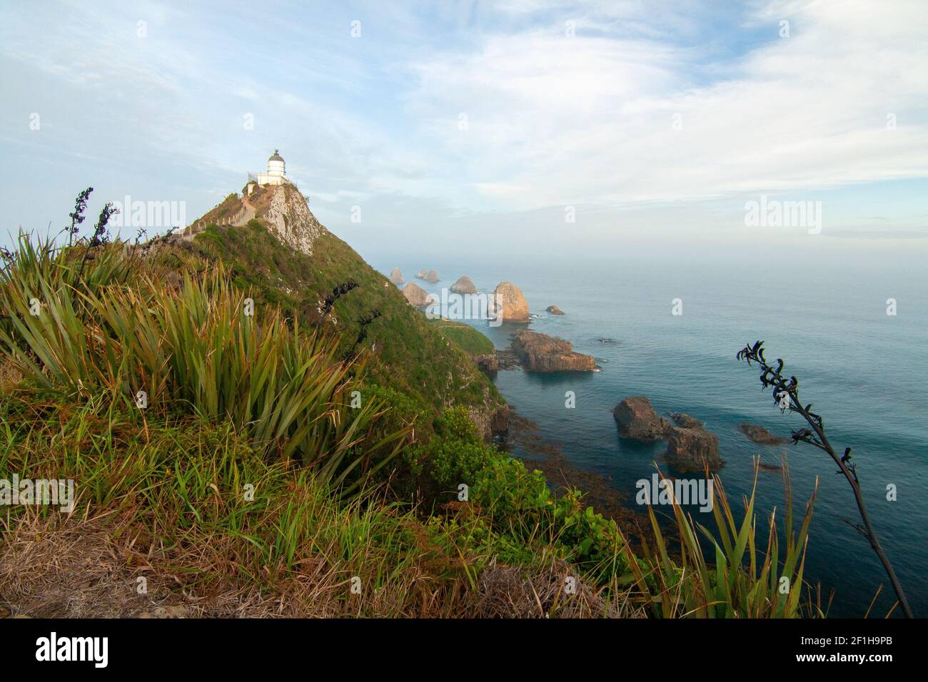 Nugget Point lighthouse, Southland New Zealand Stock Photo