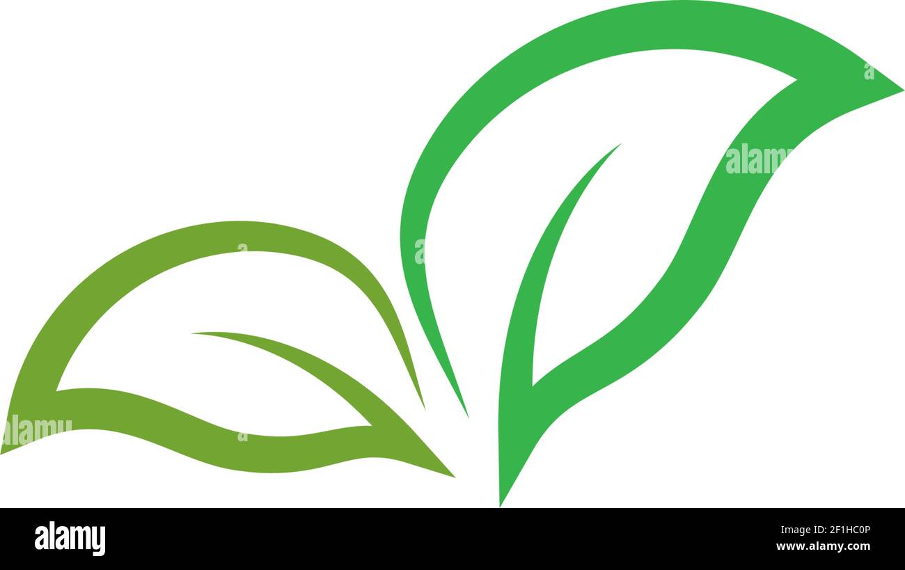 Logos of green leaf ecology nature element vector icon Stock Vector ...