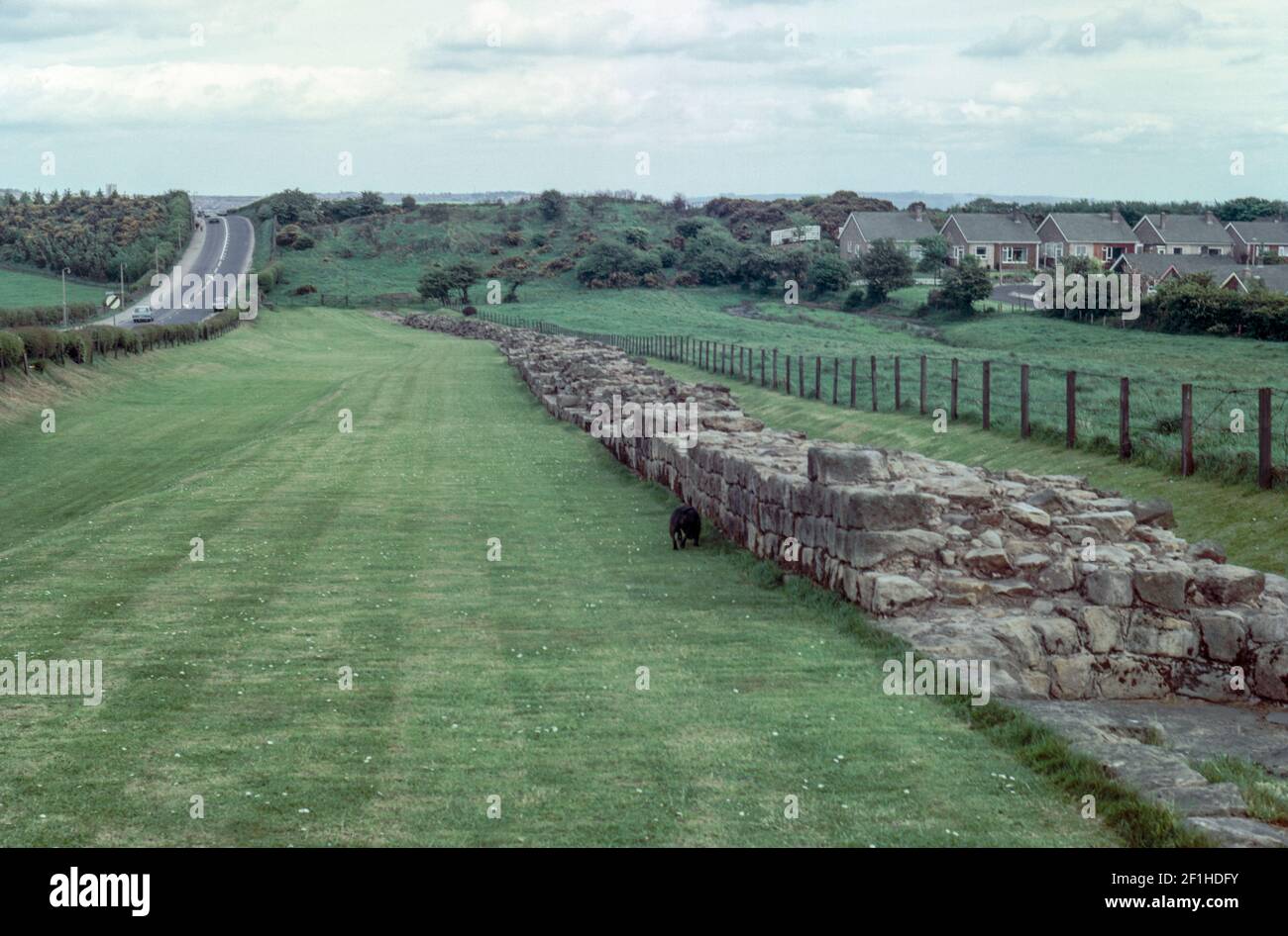 Remains of a Roman defensive fortification known as Hadrian’s Wall ...