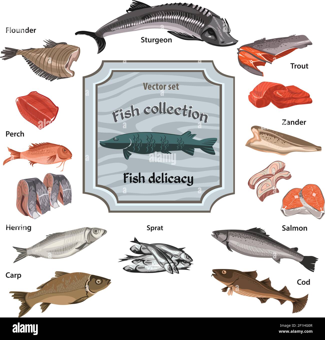 Hand drawn colored seafood collection with whole and parts fishes of ...