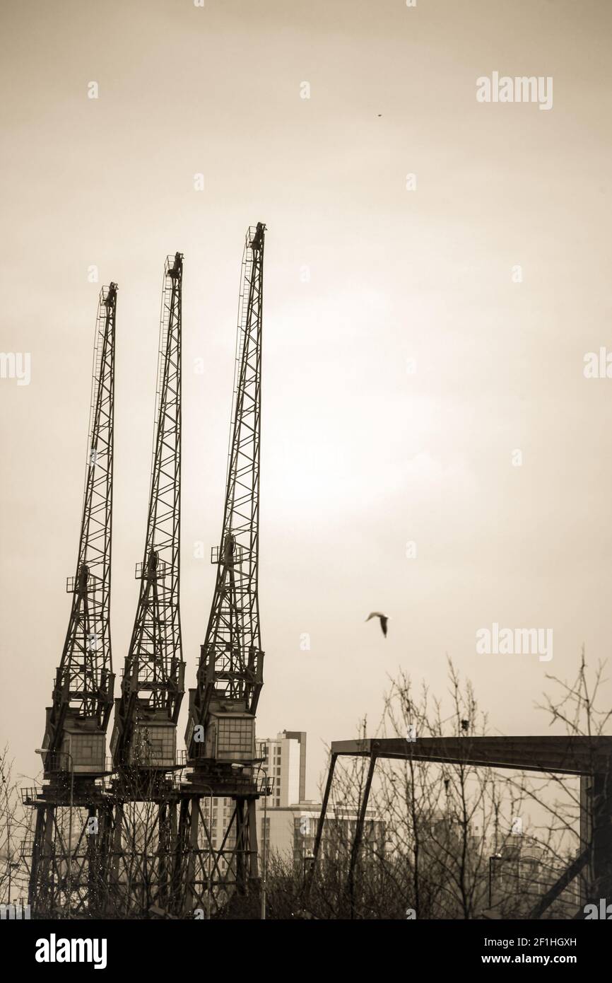Cranes on the building site Stock Photo