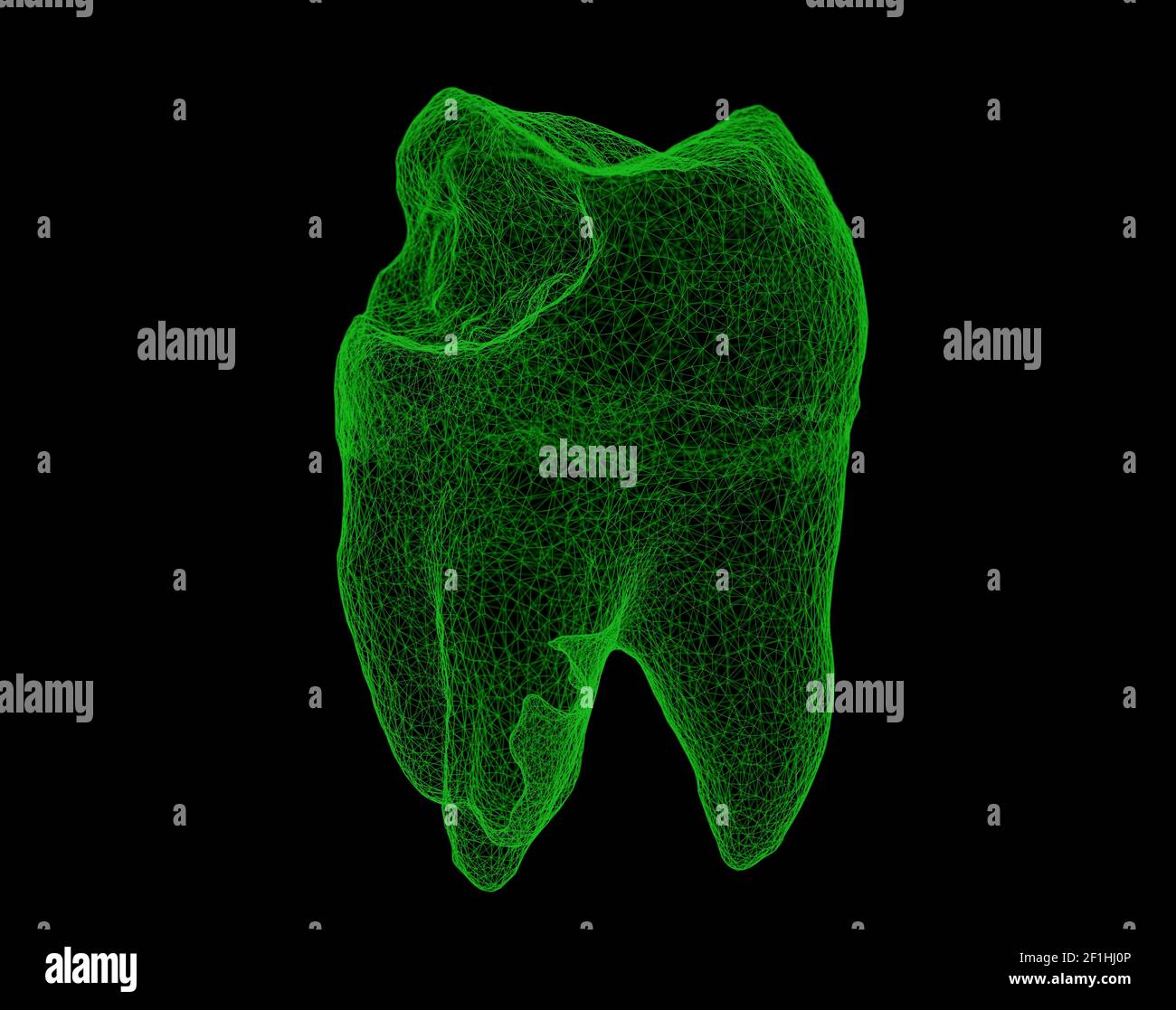 Dental wireframe tooth isolated on black 3D illustration Stock Photo