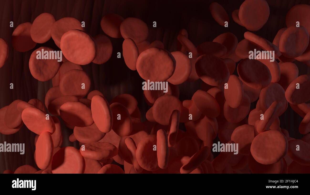 3d rendered red blood cells in vein Stock Photo