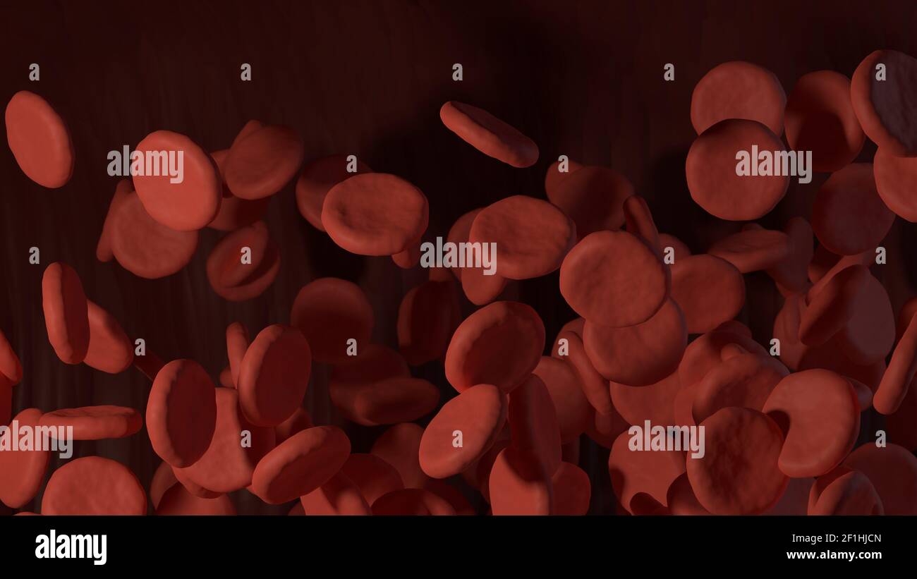 3d rendered red blood cells in vein Stock Photo