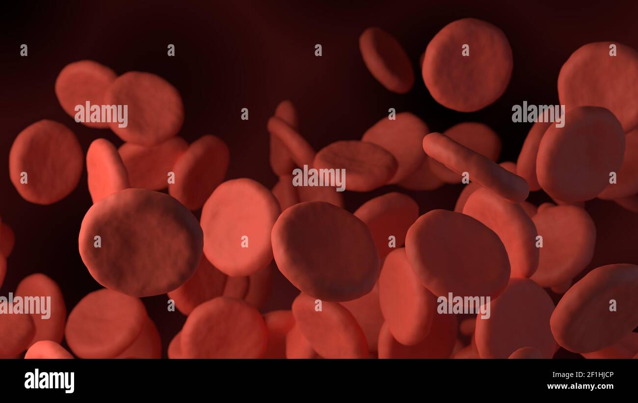 3d rendered red blood cells in vein Stock Photo