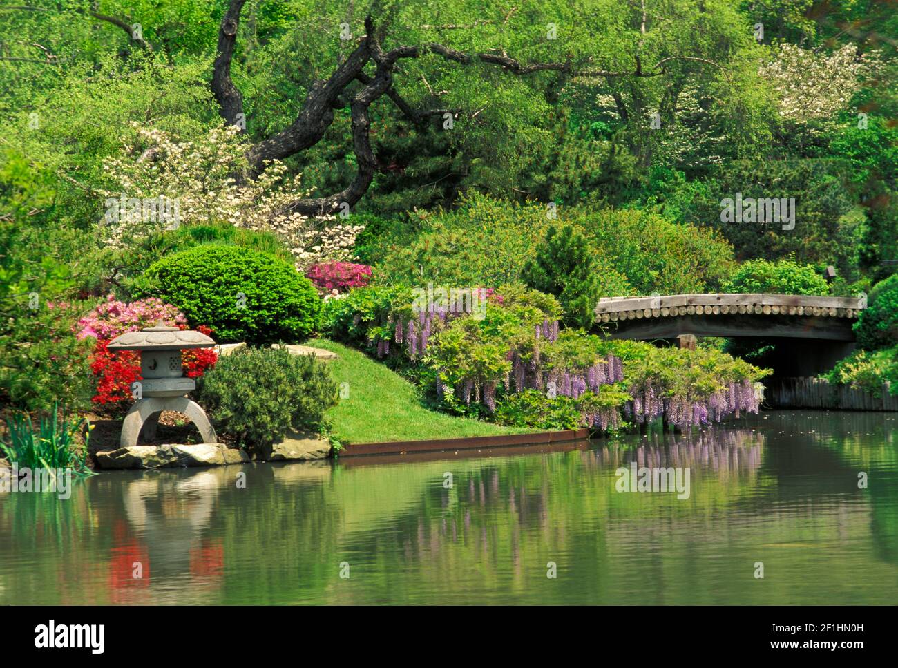 Lush blooms of spring wysteria, azaleas, dogwood and pear are vivid against the the green leaves and reflected in the water near the bridge Stock Photo
